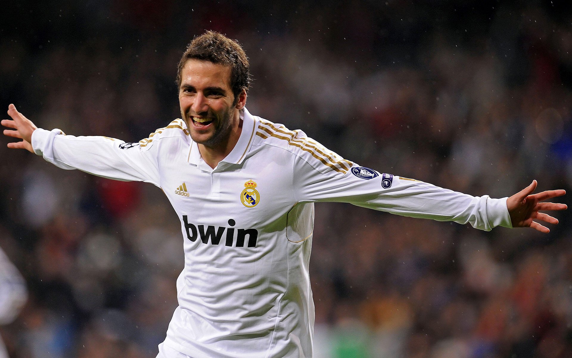 综合格斗赛场焦点！俄罗斯队对阵比利时队，老将回归赛场，再度燃起斗志